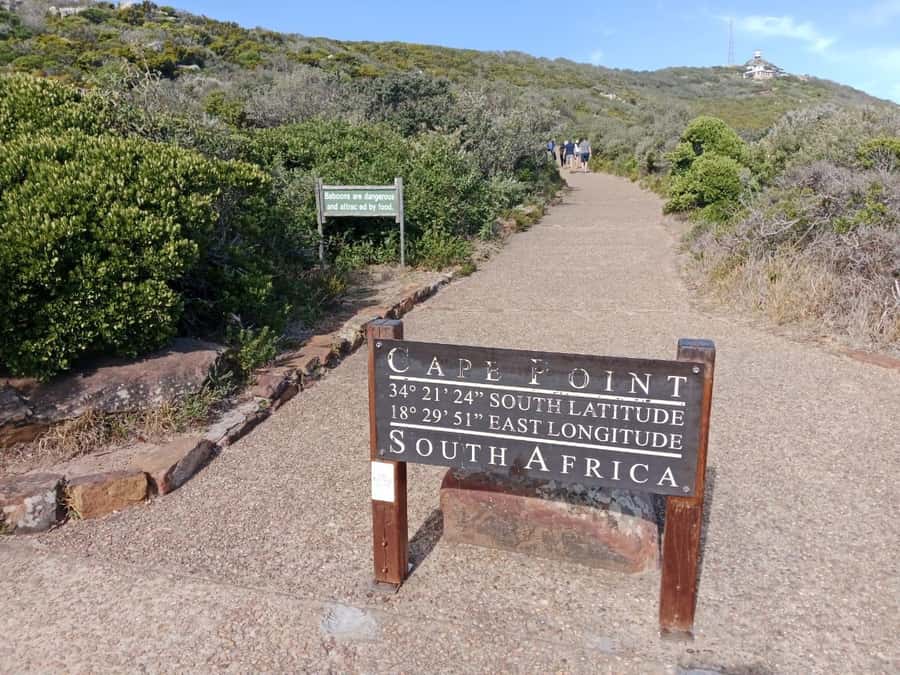 Full-Day Private Excursion: Cape of Good Hope and Penguins - Why this private Cape Peninsula day works