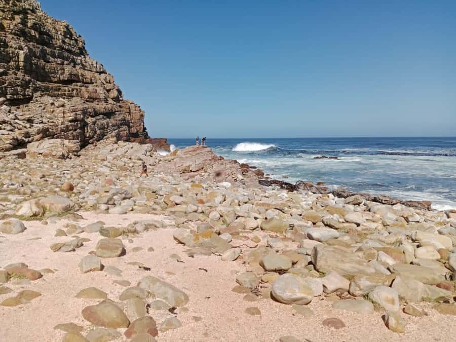 Full-Day Private Excursion: Cape of Good Hope and Penguins - Boulders Beach and the African penguins