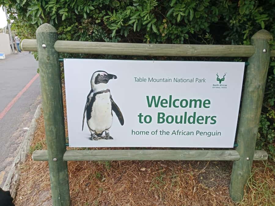 Full-Day Private Excursion: Cape of Good Hope and Penguins - What the $161 price includes
