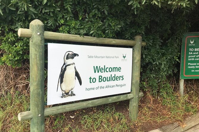 Full Day Private Tour of the Cape Peninsula and Boulders Penguins - Cape Point and the old lighthouse