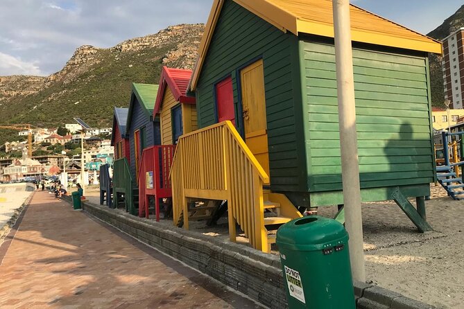 Full Day Private Tour of the Cape Peninsula and Boulders Penguins - Meeting the African penguins at Boulders Beach