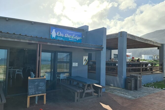 Full-Day Tour Stony Point Penguin Colony at Betty's Bay (up to 10 persons) - Who should book this Betty’s Bay tour