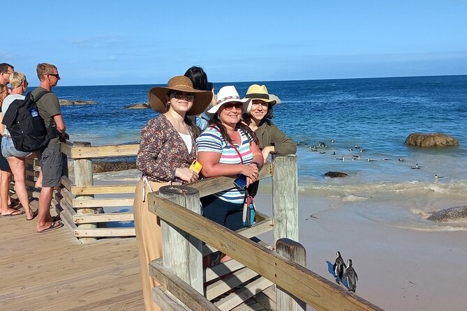 Full-Day Tour to Cape of Good Hope & Penguins from Cape Town - Boulders Beach is the wildlife highlight