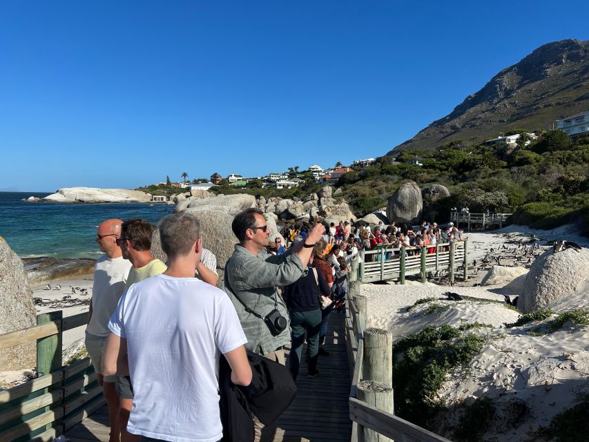Fully Day Cape Of Good Hope, Penguins, Bo Kaap , Seals Tour - Boulders Beach puts penguins within easy reach