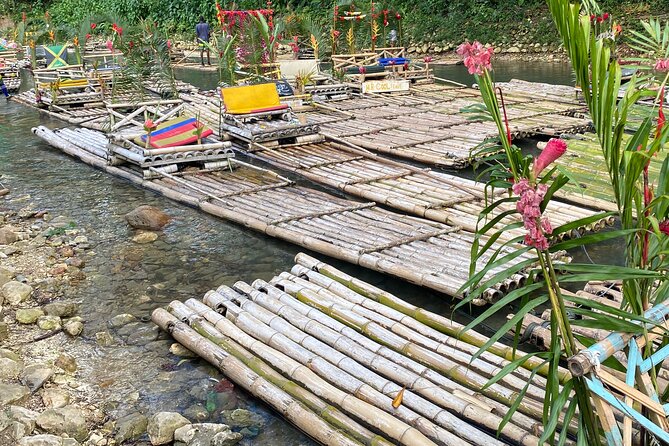 Great River Bamboo Rafting and Bird Sanctuary Combine Tour From Montego Bay - Rocklands Bird Sanctuary and Jamaica’s long-tailed hummingbird