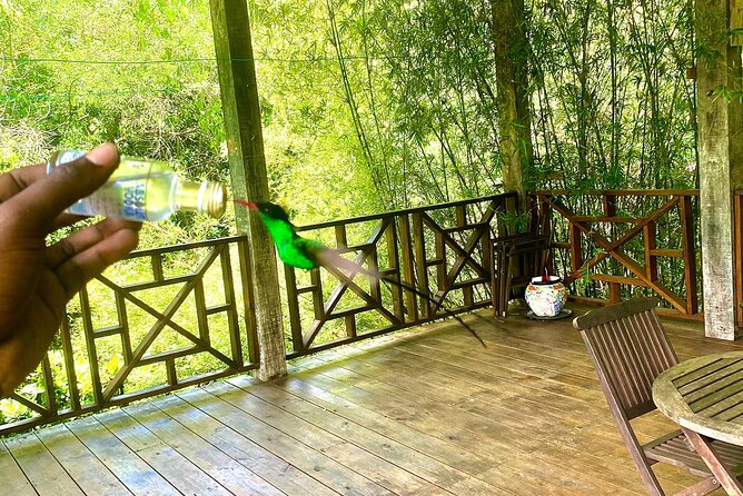 Great River Bamboo Rafting and Bird Sanctuary Combine Tour From Montego Bay - Is $120 a fair price?