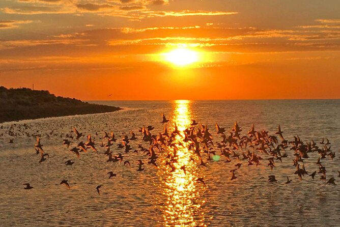 Great Salt Lake Birding and Nature Adventure - Farmington Bay and the meeting of fresh and salt water