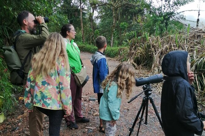 Guided Birding Photography Experience - Why Mindo works so well for bird photography