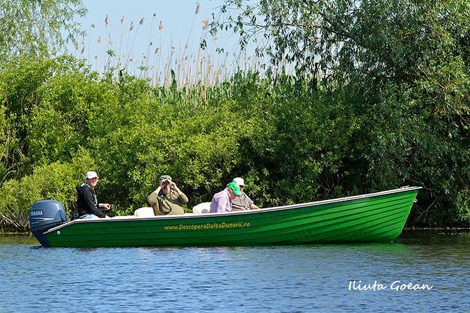 Guided Birdwatching day trip to the Danube Delta - private program - Why the Danube Delta works best by boat