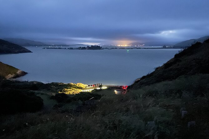 Guided Evening Penguin Viewing Otago Peninsula, Dunedin, New Zealand - The first 30 minutes: local history and penguin science