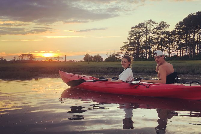 Guided Kayak Tour to see ponies, birds, dolphins and more - Birds, dolphins, and the wildlife you cannot schedule