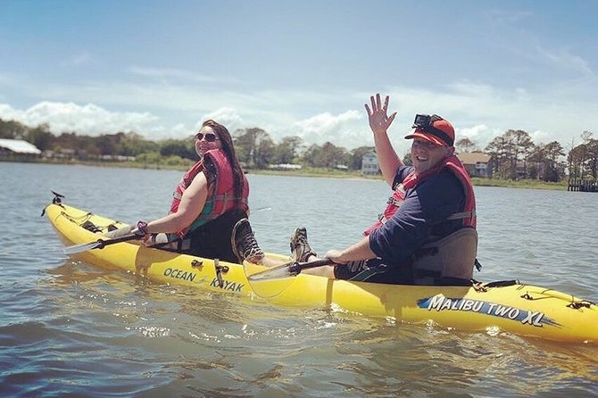 Guided Kayak Tour to see ponies, birds, dolphins and more - How strenuous is the two-hour paddle?
