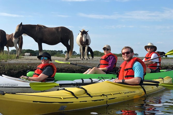 Guided Kayak Tour to see ponies, birds, dolphins and more - What the $75 price gives you