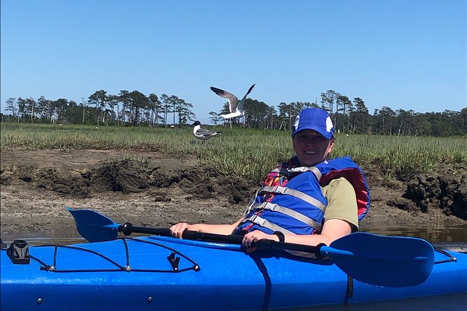 Guided Kayak Tour to see ponies, birds, dolphins and more - Who should book this Chincoteague outing?