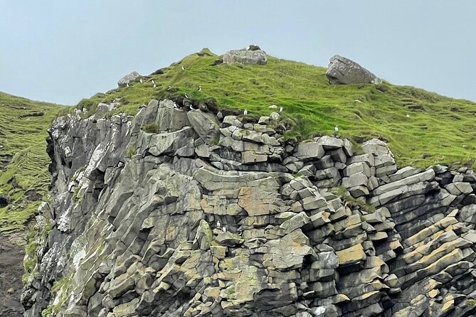 Guided Puffin Safari Boat Tour - Is $103.73 good value?
