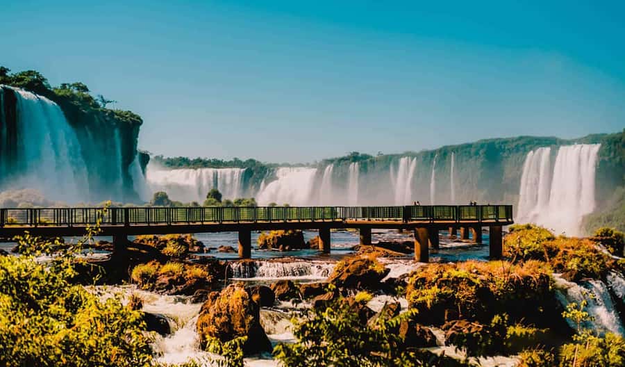 Guided Tour: Brazilian Falls and Bird Park - Timing, cancellations, and useful preparation