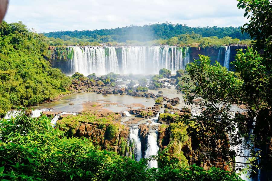 Guided Tour: Brazilian Falls and Bird Park - Who will enjoy this tour most?
