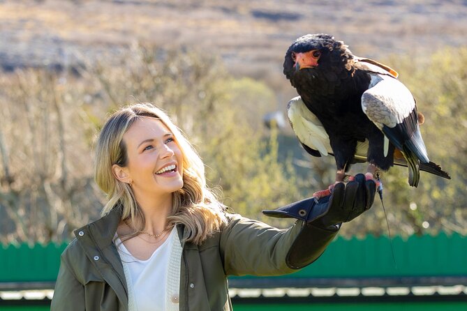Guided Tour of Aillwee Cave and Visit to the Birds of Prey Centre - What makes Aillwee Cave worth a stop
