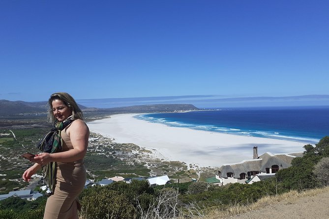 Half day African Penguin Tour - Simons Town, Kalk Bay, and the return along False Bay