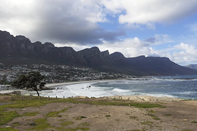 Half day African Penguin Tour - Vehicle, group size, and comfort