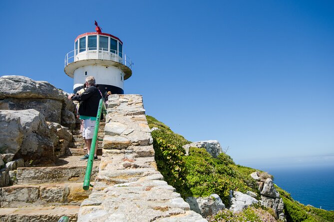 Half day am or pm Boulders Beach & Penguins with visit to Cape Point Great tour - Who should book this Cape Peninsula tour?