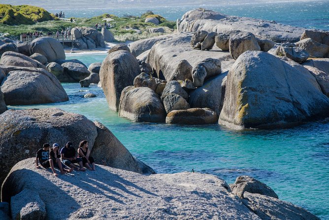 Half day am or pm Boulders Beach & Penguins with visit to Cape Point Great tour - My verdict on the Cape Point and penguin outing