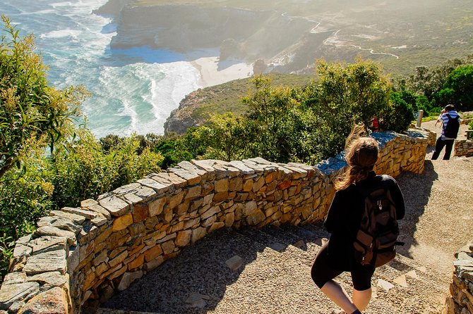 Half day am or pm Boulders Beach & Penguins with visit to Cape Point Great tour - Boulders Beach and the penguin colony