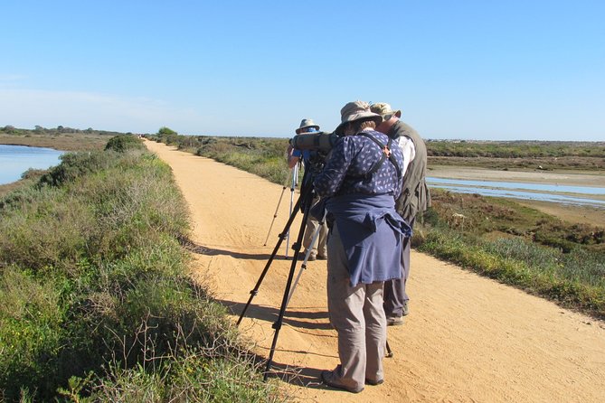 Half-day birdwatching around Faro - Key points to know before booking