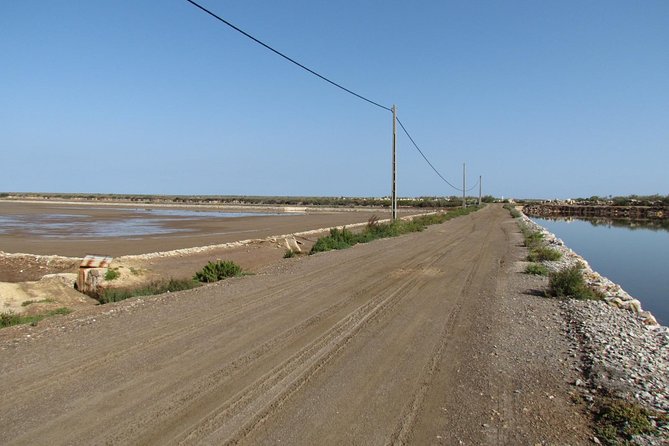 Half-day birdwatching around Tavira - Walking the Santa Luzia saltpans