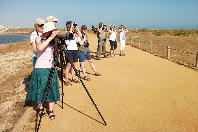 Half-day birdwatching at Alvor dunes - Key points to know before booking