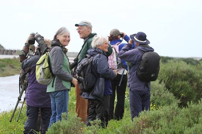 Half-day birdwatching at the Abicada marshed - The guide makes the difference for first-time birdwatchers