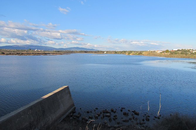 Half-day birdwatching at the Abicada marshed - Who will enjoy this morning most