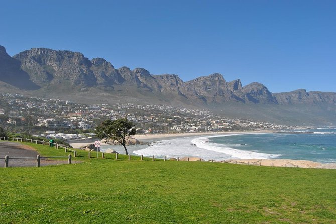 Half day Cape Point Sightseeing Tour with Penguins from Cape Town - Boulders Beach and the African penguins