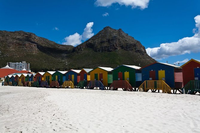 Half day Cape Point Sightseeing Tour with Penguins from Cape Town - Entering Cape Point Nature Reserve