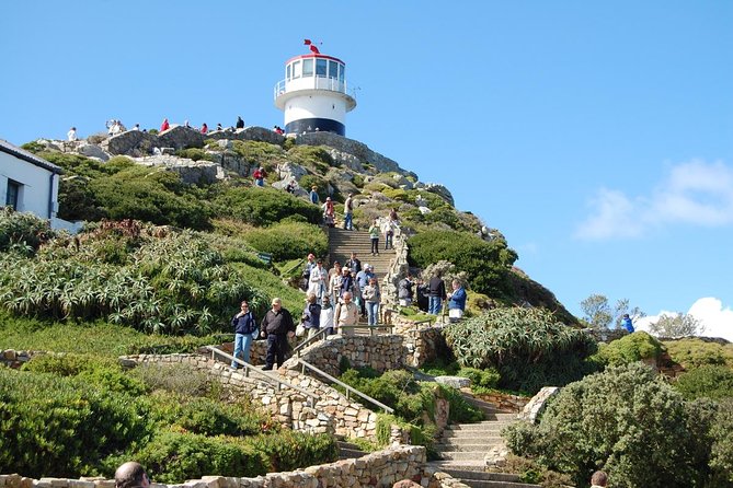Half day Cape Point Sightseeing Tour with Penguins from Cape Town - Starting in Cape Town and heading toward Hout Bay