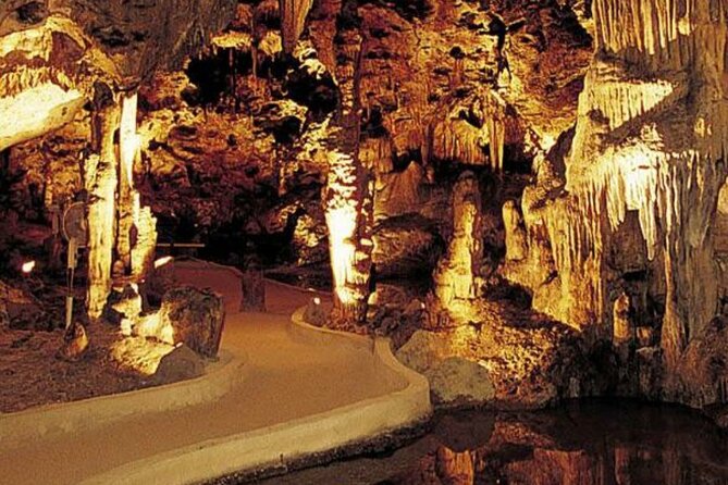 Half Day Hato Cave, Flamingo & Beach Tour - Quick facts about the Curaçao half-day tour