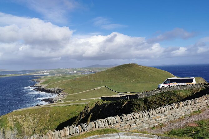 Half Day Private Tour with Puffins, Ponies and Past Shetland - Carol’s Ponies bring the breed close