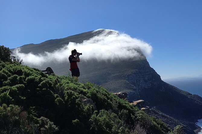 Hiking Cape of Good hope, Cape Point & Penguins Private Full Day - Why this private Cape Peninsula day works