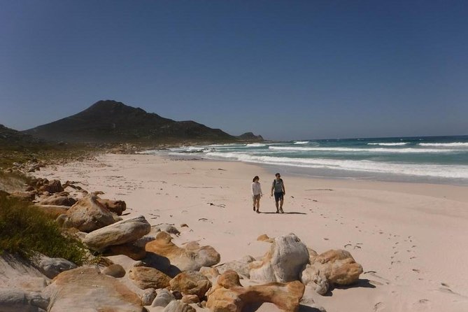 Hiking Cape of Good hope, Cape Point & Penguins Private Full Day - Boulders Beach and the African penguins