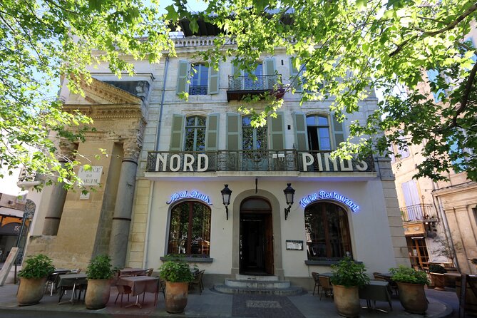 Historic Arles & the beaches and Pink Flamingoes of the Camargue - Why a private vehicle matters here