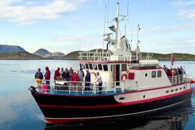 Honningsvåg Shore Bird Safari Adventure - Boarding the boat to the bird cliffs