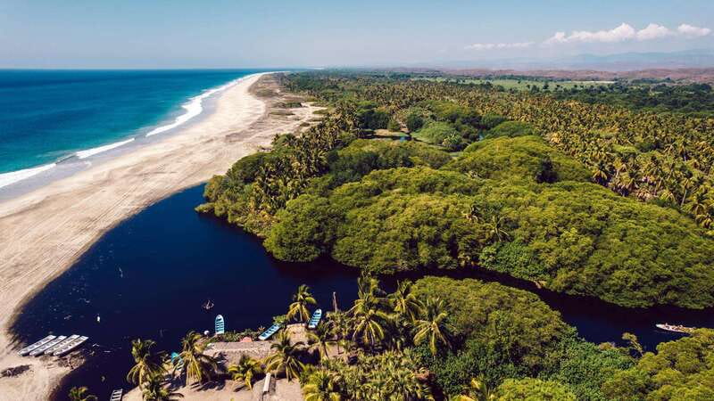 Huatulco: Ecotour with Crocodiles & migrating birds - What the short nature walk adds