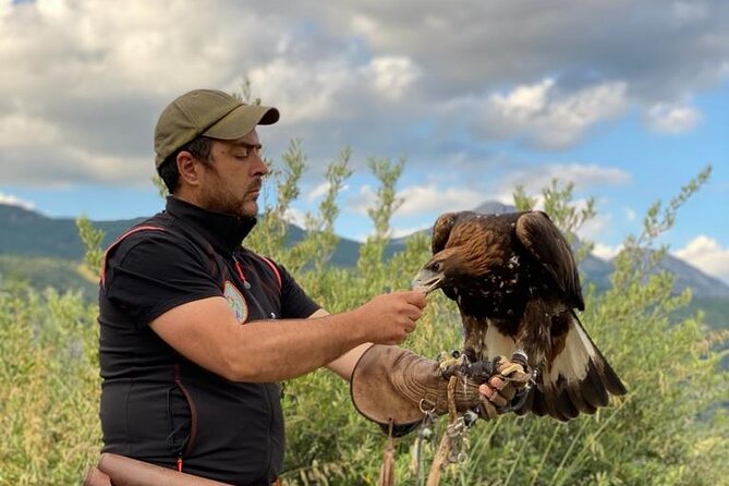 Interactive Educational Course on Birds of Prey - Why the private format helps