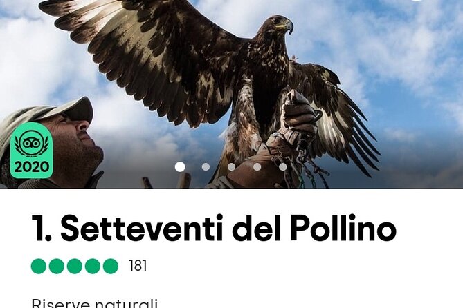 Interactive Educational Course on Birds of Prey - Timing, arrival, and the small sign
