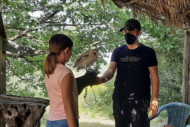 Interactive Educational Course on Birds of Prey - What makes this more than an animal attraction