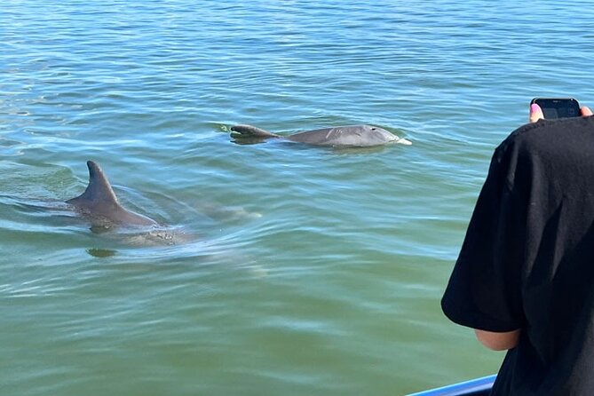 Island Paradise: Dolphin, Shelling, Birding Eco Boat Tour - Goodland is the launch point, not just a parking lot