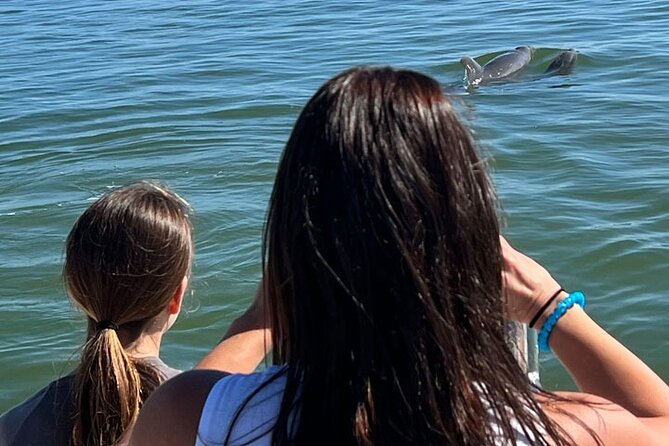 Island Paradise: Dolphin, Shelling, Birding Eco Boat Tour - Shelling is the hands-on part of the morning