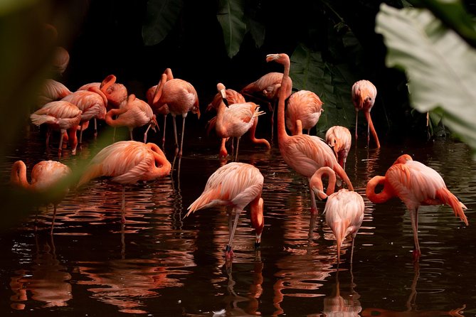 Jurong Bird Park Bird Photography - What this Singapore bird photography class is really about