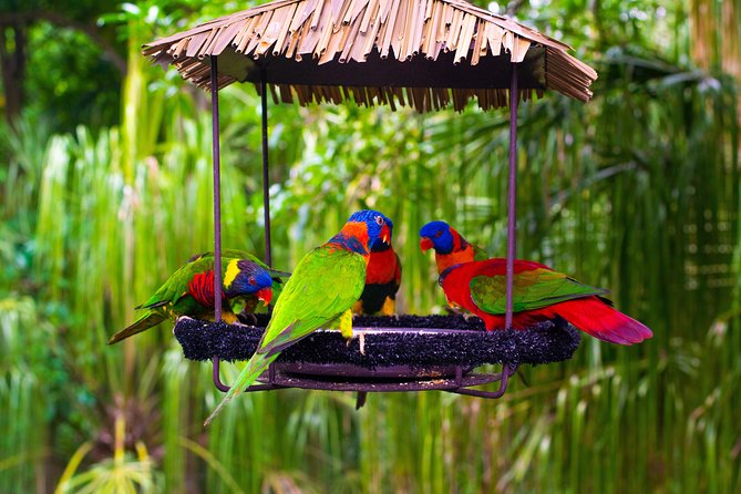 Jurong Bird Park Bird Photography - Starting at 8:30 am near Jurong Hill