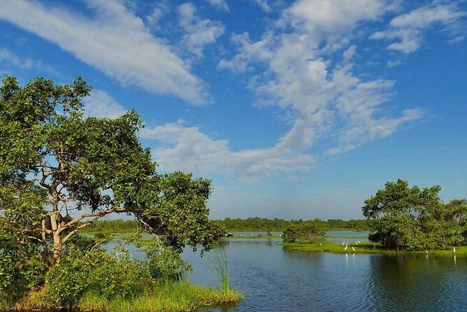 Kalametiya Bird Sanctuary Catamaran Bird Watching Tour - Pickup from your hotel or nearby stay